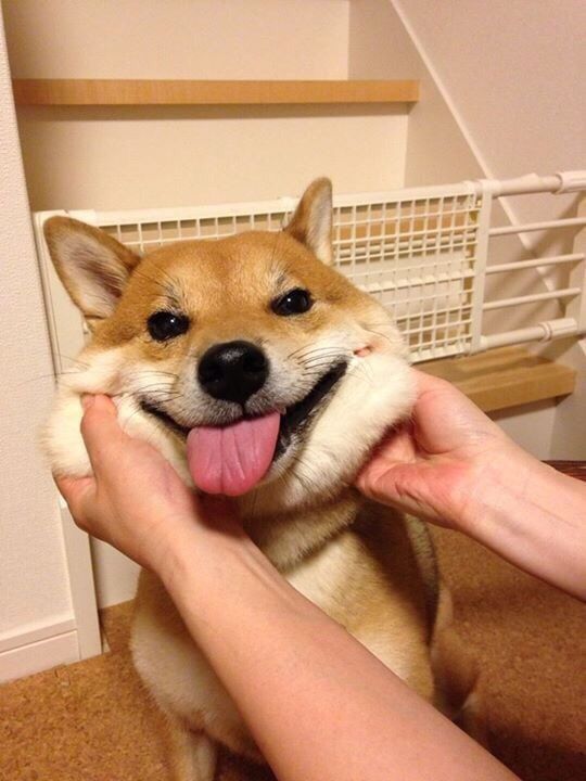 thumbnail of the cover of the post