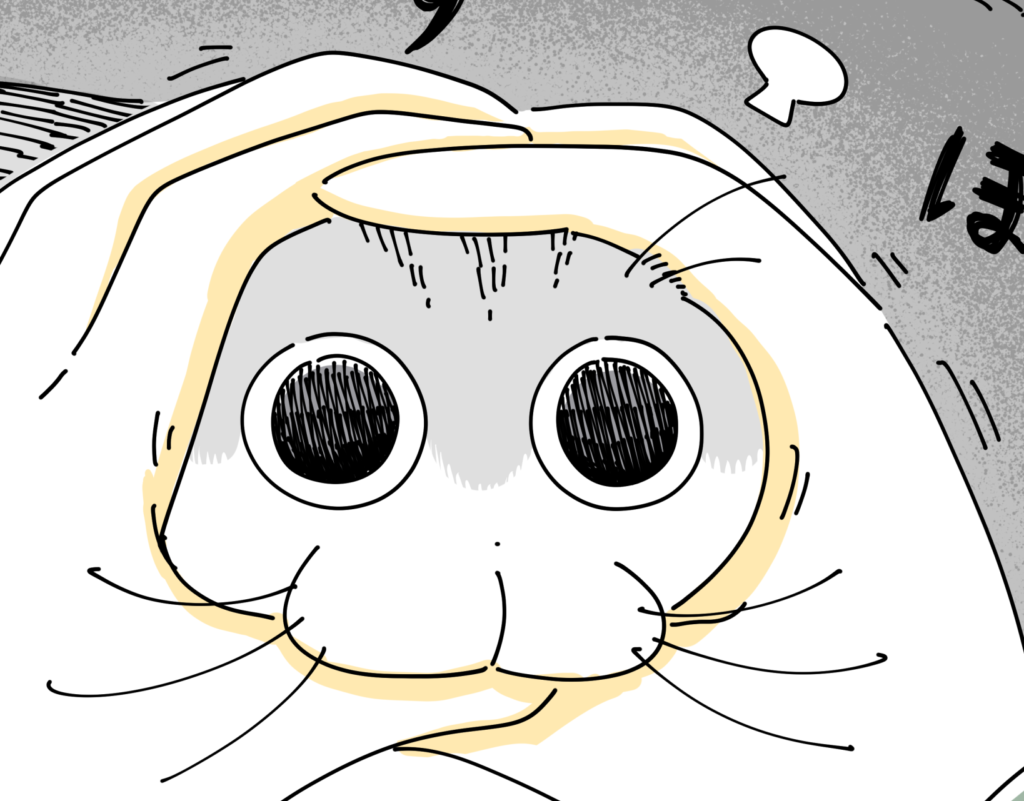 thumbnail of the cover of the post